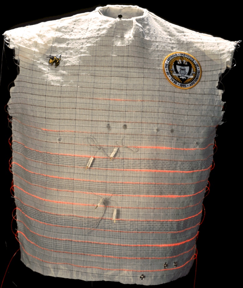 vest2.gif (369051 bytes)